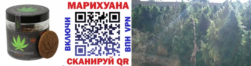 Еда ТГК конопля  Купить  Правдинск 