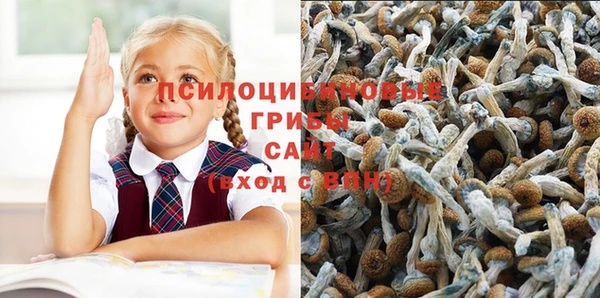 спиды Балабаново