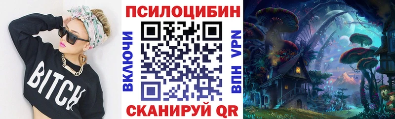 Купить закладки  Правдинск  Псилоцибиновые грибы прущие грибы 